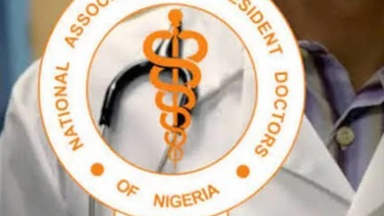 Medical/Dental License Bill: “Why we opposed the legislation” – NARD VP