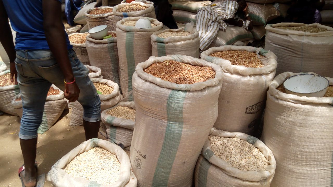 Ex-Senate President Lawan to distribute 9,000 bags of grains to constituents