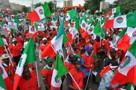 Labour Strike: Benue lawmaker urges NLC, Nigerians to support TinubuÂ