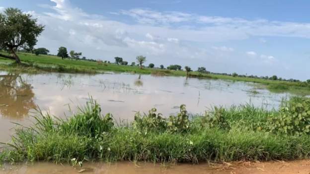 Reps seek palliatives for Kano flood victims