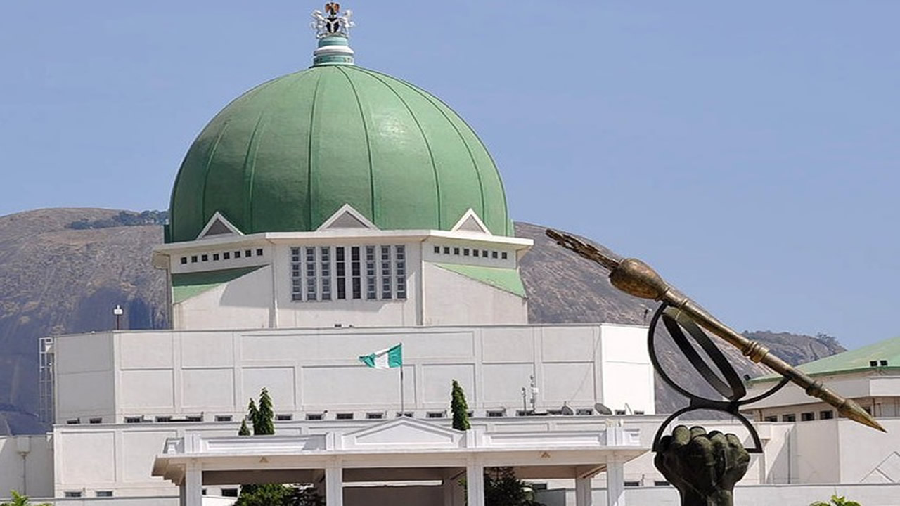 LIFE SERVICE: National Assembly with full plate as State Policing, rising food costs, fuel queues… on radar