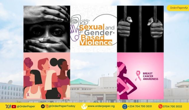 GESI TRACKER: SGBV, CANCER AND PRISON DECONGESTION