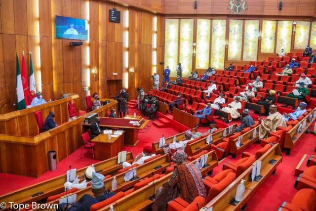 Senate calls for immediate reinstatement of expelled university student