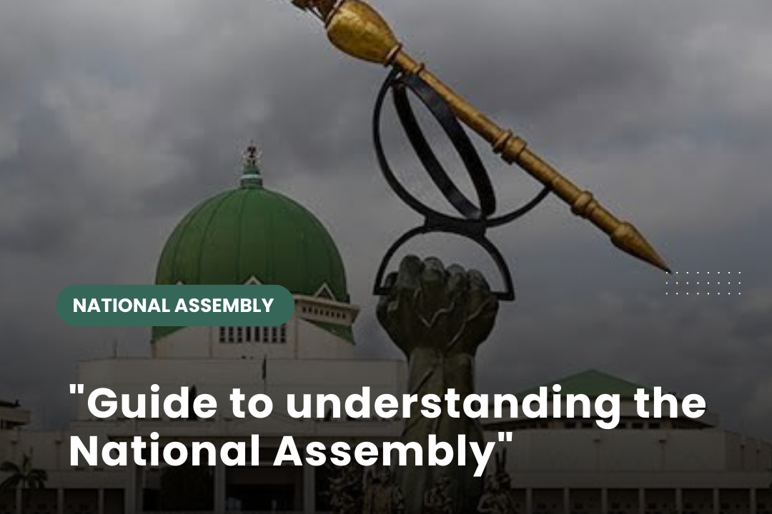 PARLIAMENT PRIMER: Simple Guide to Understanding the National Assembly