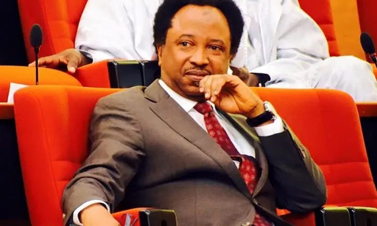 SHEHU SANI: A journey of advocacy and activism from jail to senate