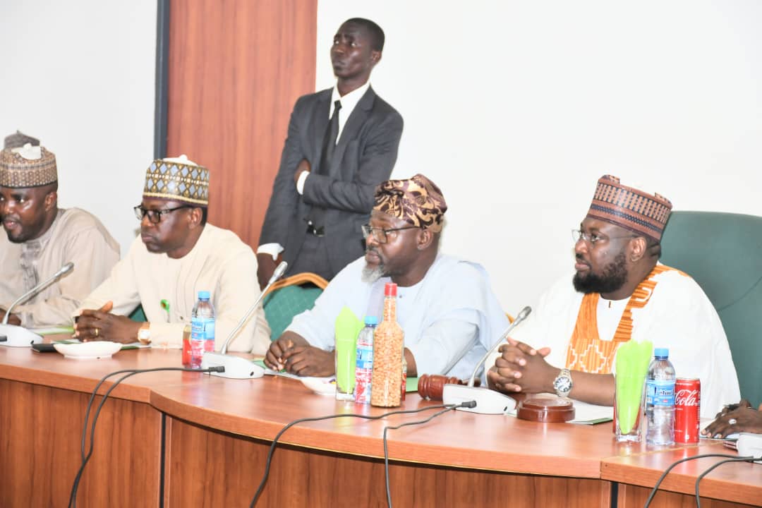 Afforestation: 45.3 million tree seedlings planted – NAGGW