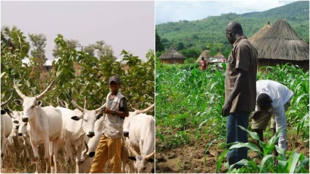 Climate change worsens farmer-herder clashes in Nigeria – Speaker Abbas