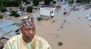 National Assembly: Donate your September salaries to Borno flood victims 