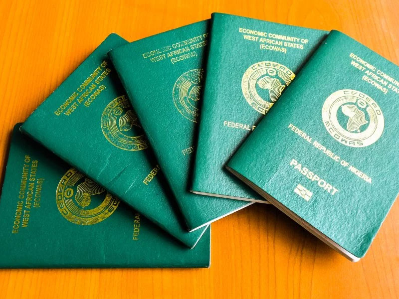 Immigration under fire as NASS queries passport revenue allocation
