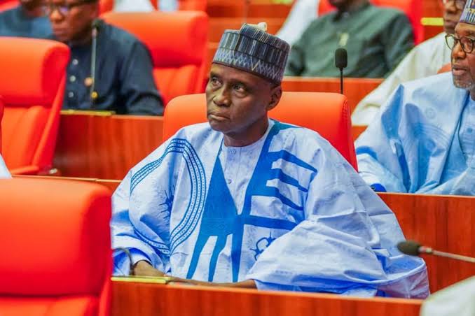 Grid collapse, Tax bills | SENATE GIST TODAY 