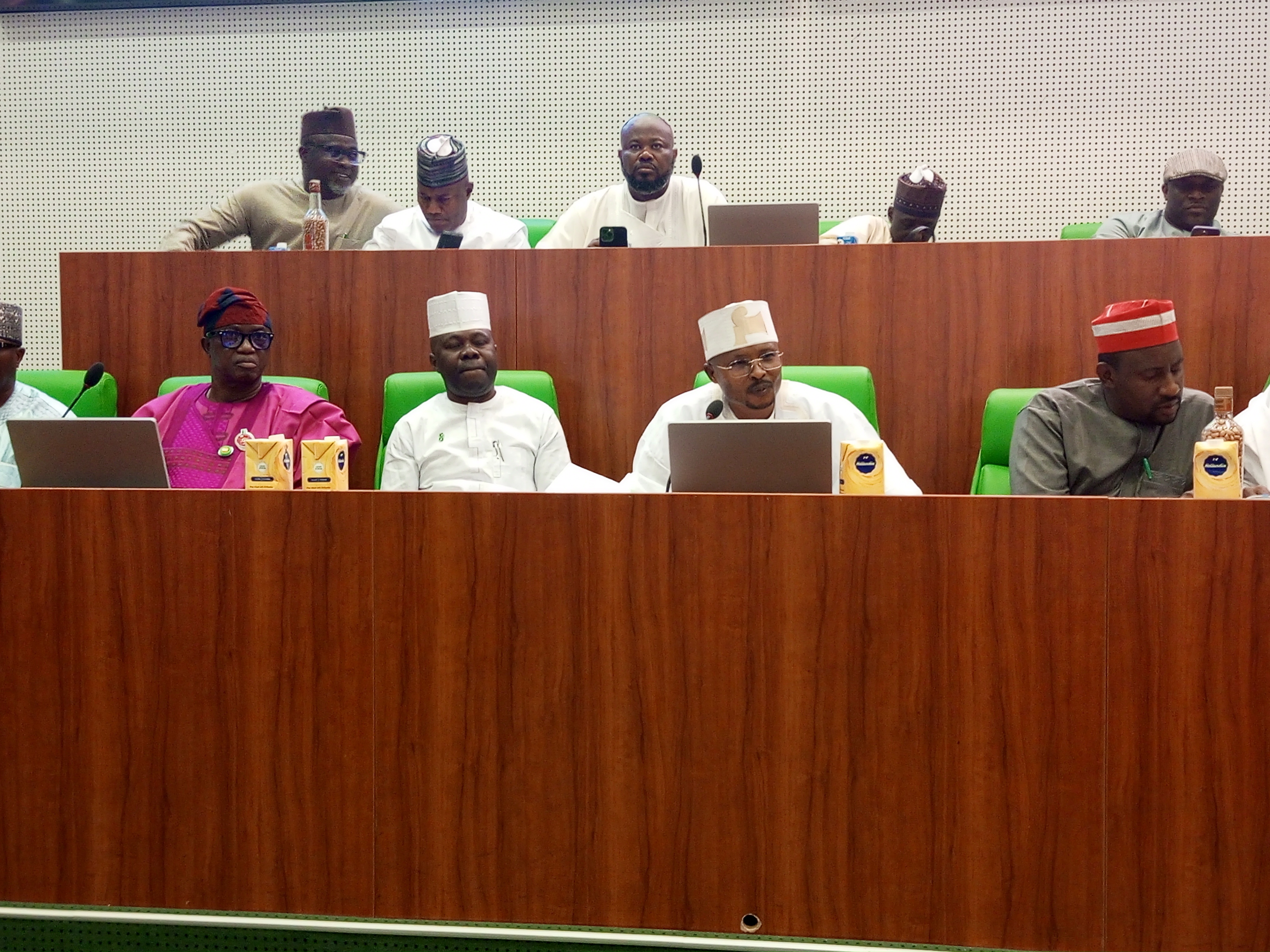 Reps Committee urges Tinubu to Sack MDA Heads over failure to honor invitations