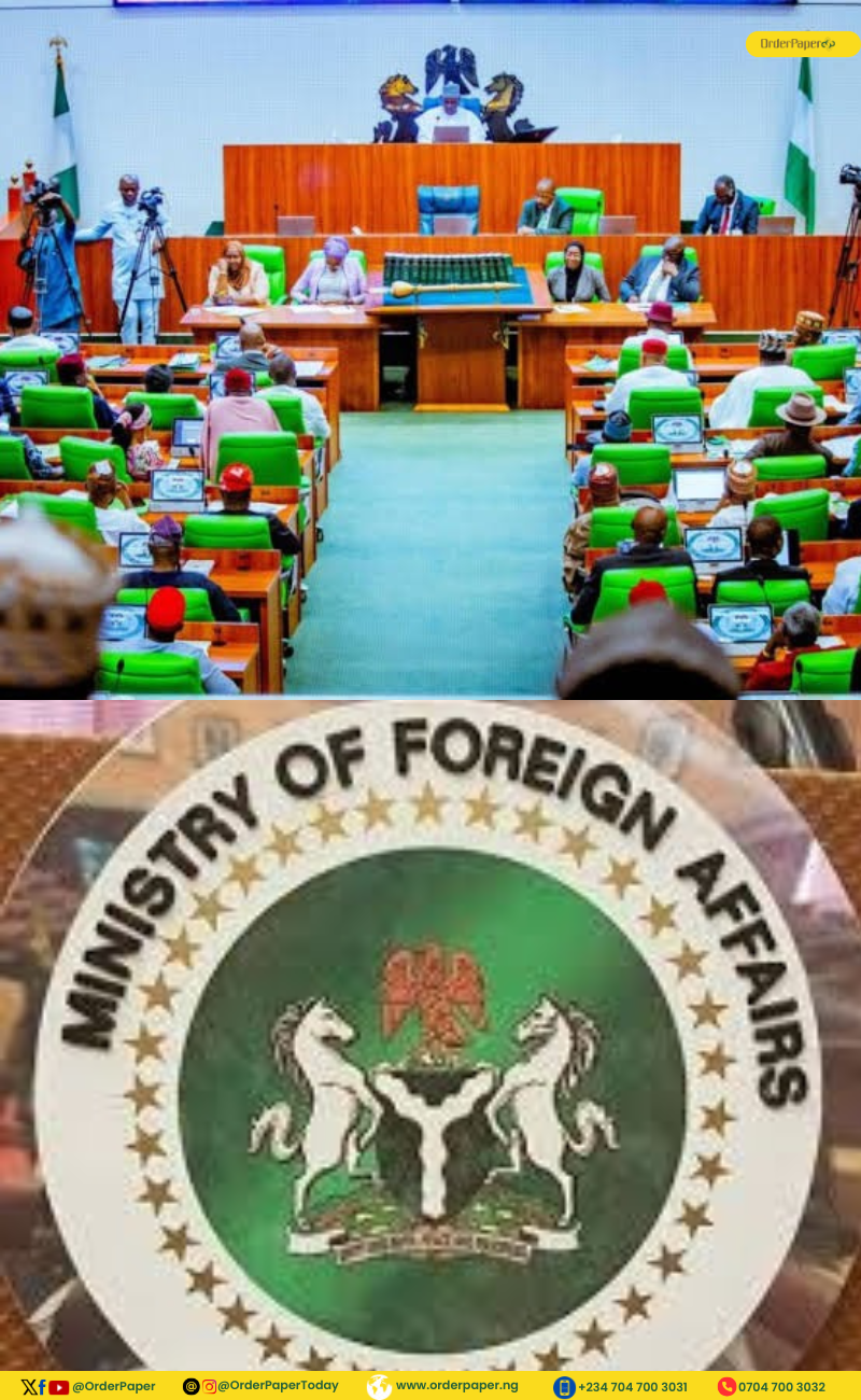 2025 Budget: Reps decry poor allocation to foreign missions