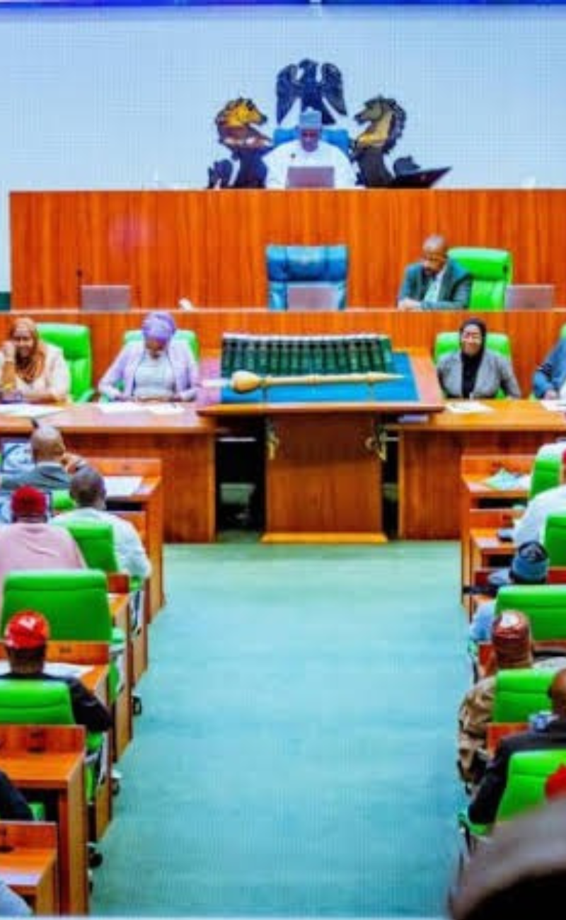 Reps rejig committees, honours former head of state