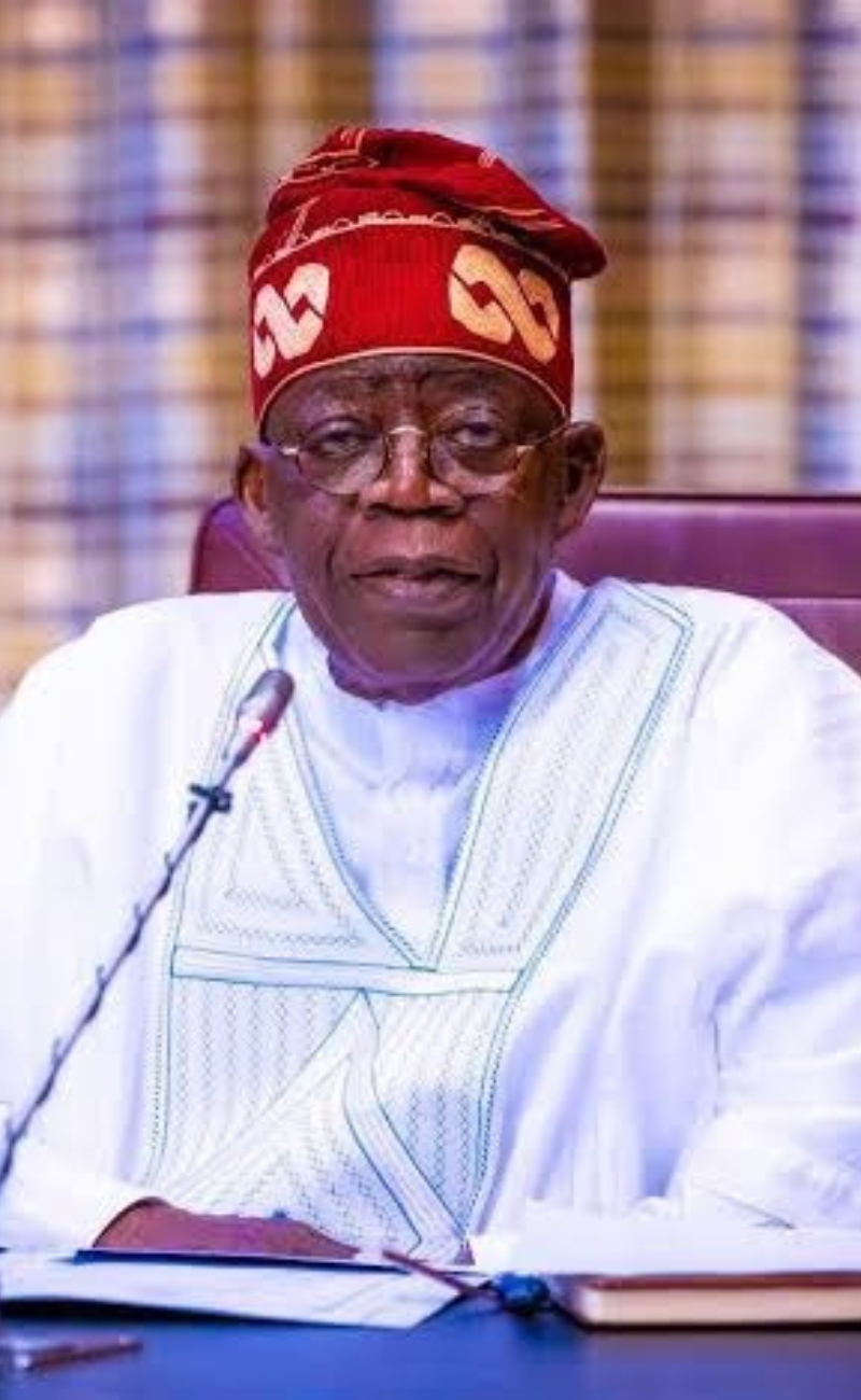 Why Tinubu declined assent to Numan varsity bill