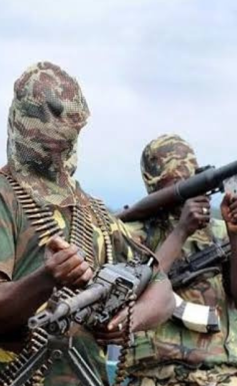 Boko Haram: Senate demands answers on alleged USAID links