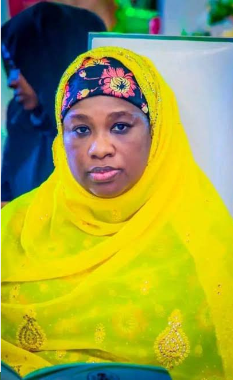 ‘You’ve not defended your 2025 budget’ – Reps to FCT minister