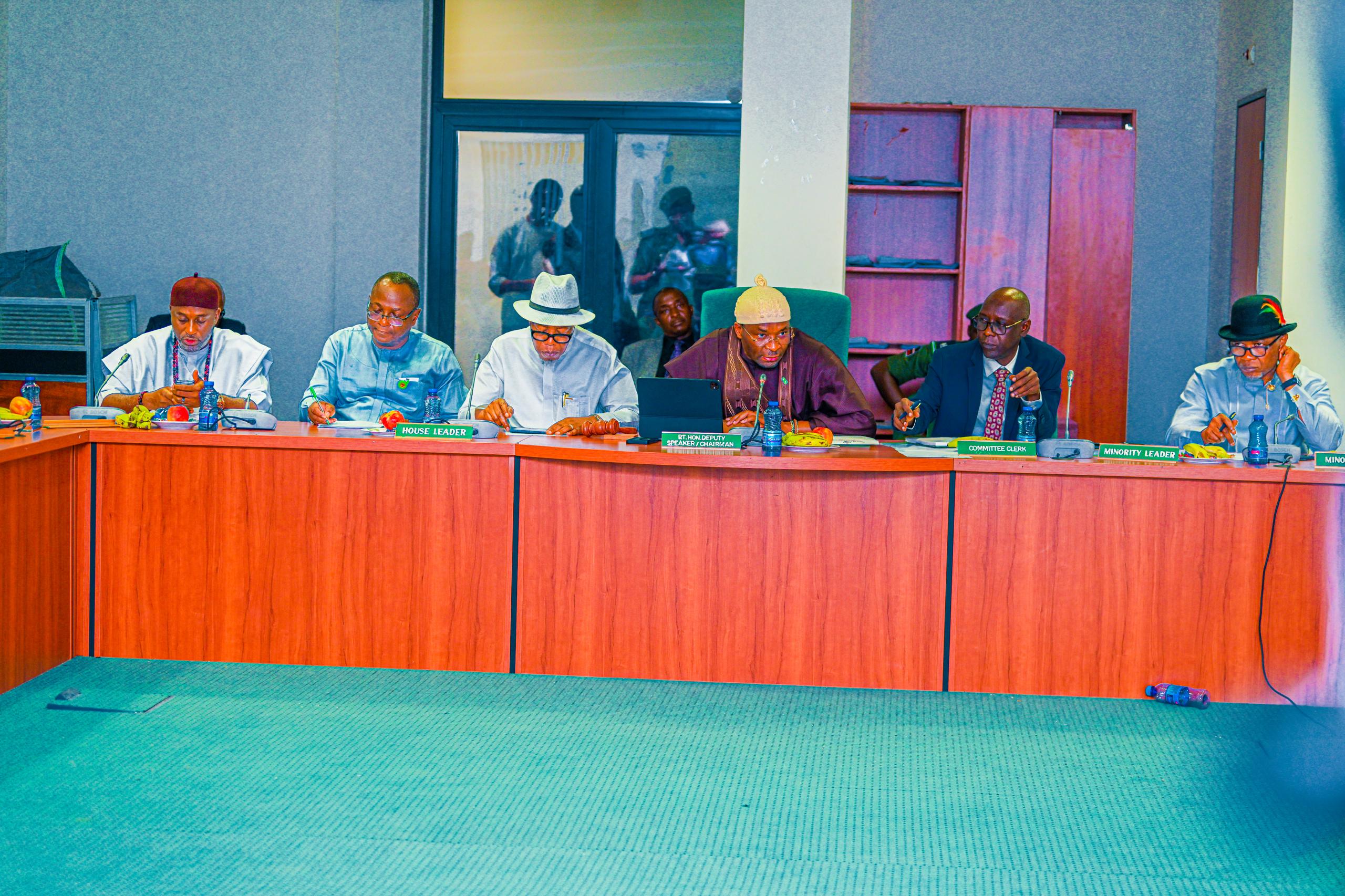 House constitution review committee 