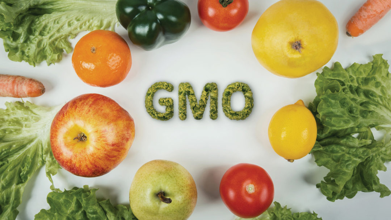 Journalists urge to promote evidence base reporting on GMOs