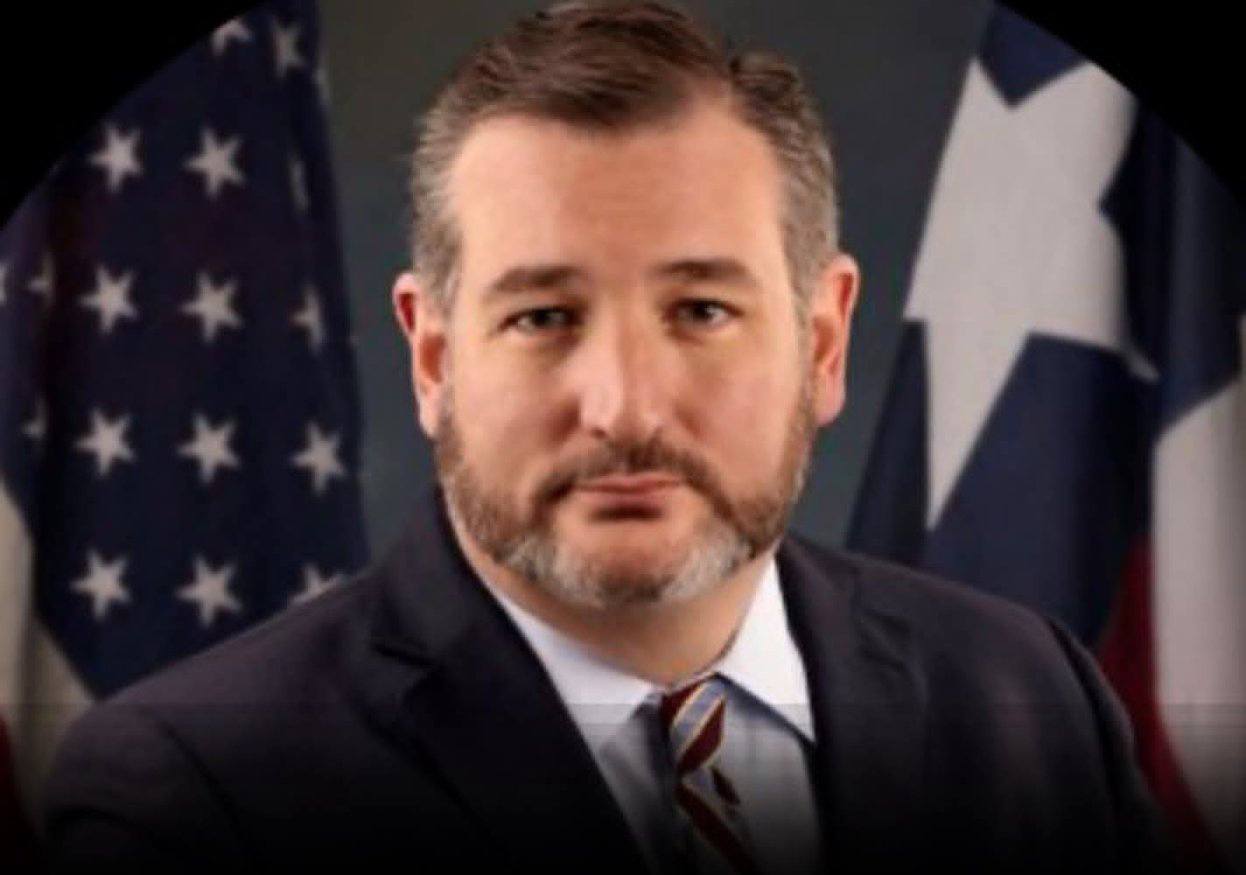 Ted Cruz, US Senator