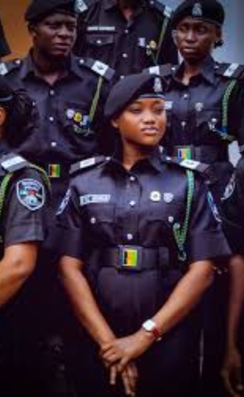 Towards gender layered policing in Nigeria | GESI Tracker