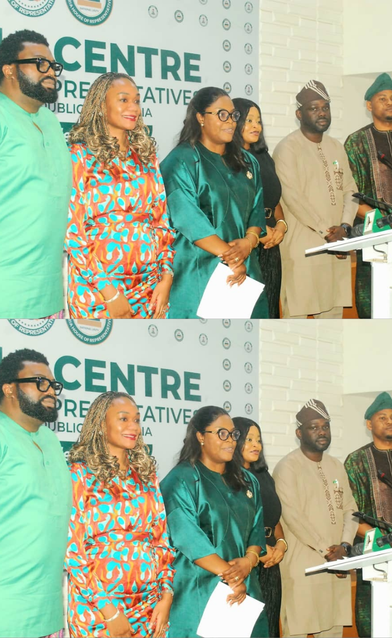 Reserved Seats for Women: What Nigerians need to know about the bill Reserved Seats for Women: What Nigerians need to know about the bill