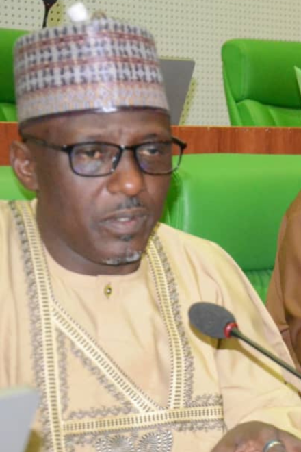 Reps step down agency’s 2026 budget, seeks DG’s removal