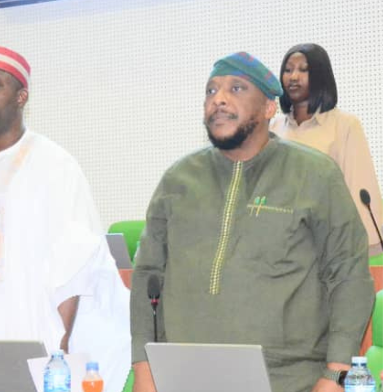 Fintech bill: Stakeholders warn against regulatory overlap