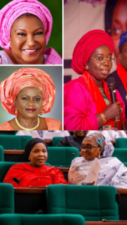 Give to Gain: Why Women’s Representation Matters for Nigeria’s Future | GESI Tracker