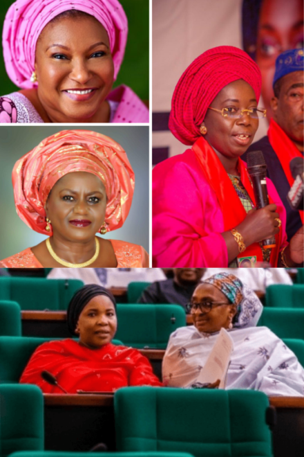 Give to Gain: Why Women’s Representation Matters for Nigeria’s Future | GESI Tracker