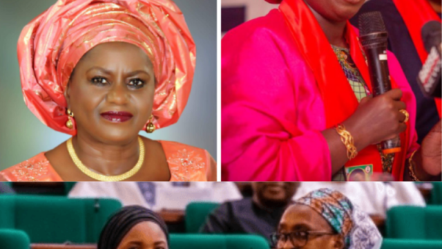 Give to Gain: Why Women’s Representation Matters for Nigeria’s Future | GESI Tracker