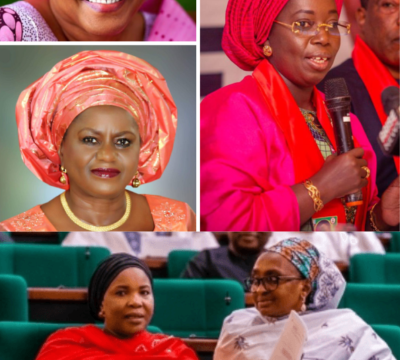 Give to Gain: Why Women’s Representation Matters for Nigeria’s Future | GESI Tracker