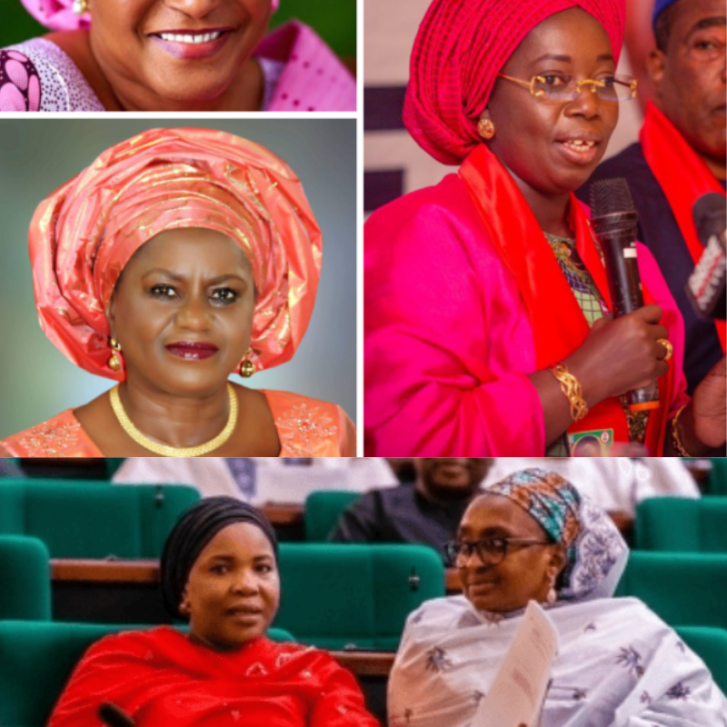 Give to Gain: Why Women’s Representation Matters for Nigeria’s Future | GESI Tracker Give to Gain: Why Women’s Representation Matters for Nigeria’s Future | GESI Tracker