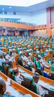 House of Reps pass state police bill