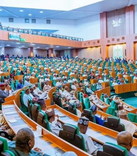 Reps vote on constitution amendment bills