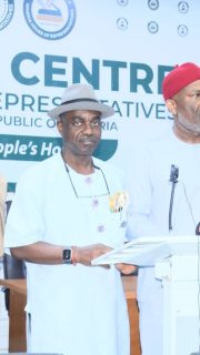 Nigeria bleeds as Tinubu prioritises reelection – Reps minority caucus