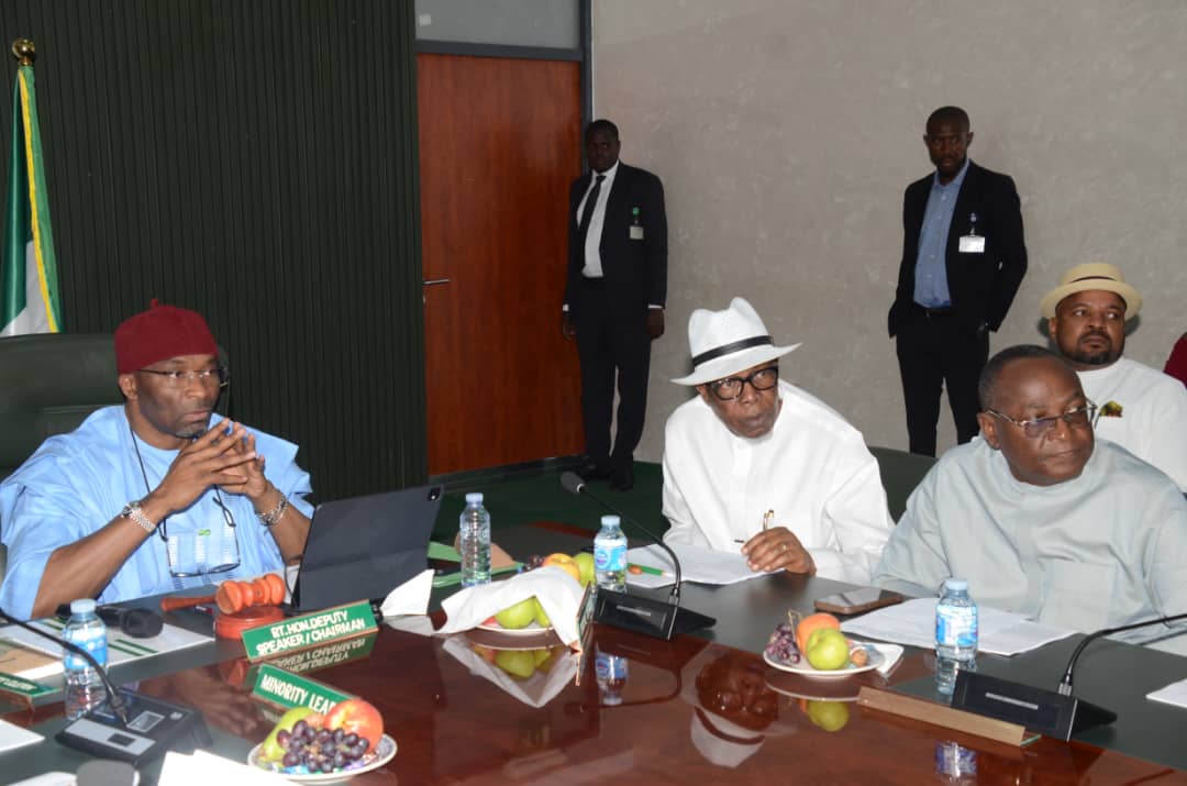 Reps begin consideration of Tinubu’s state police bill