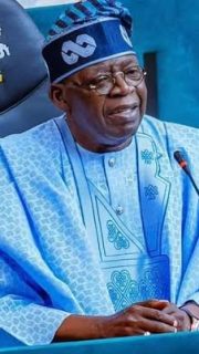 Halt bloodshed in northern Nigeria, Reps minority caucus urges Tinubu