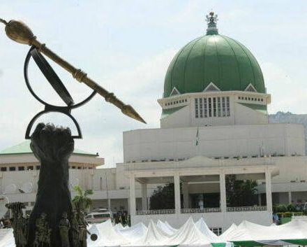 NASS suspends official visits to South Africa over xenophobic attacks