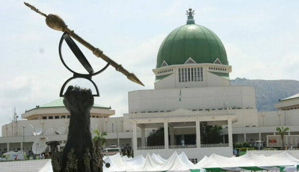 NASS suspends official visits to South Africa over xenophobic attacks NASS suspends official visits to South Africa over xenophobic attacks