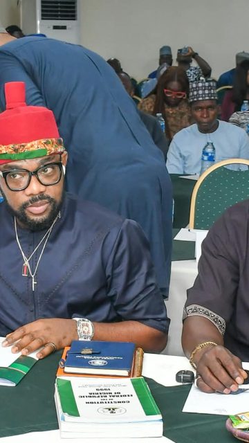 Reps pass vote of confidence in Tinubu, NMDPRA, Dangote