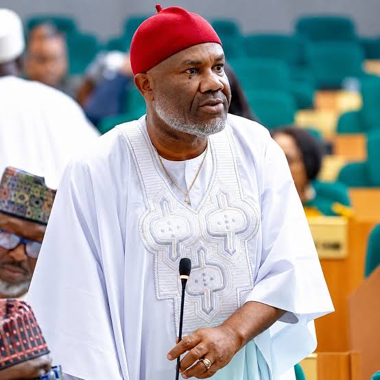 Reps pass renewable energy authority bill for second reading 